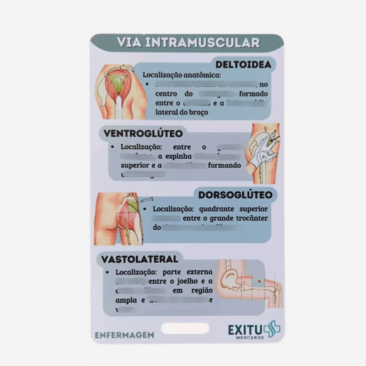 Via Intramuscular (Enfermagem) - Imagem 2